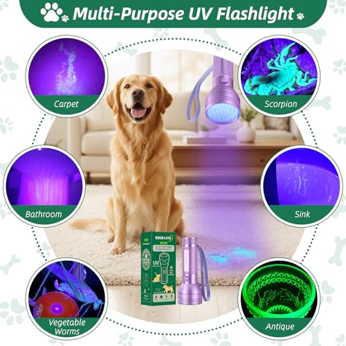 UV Black Light for Pet Urine Detection Purple Flashlight Cat Dog Pee Light Detector