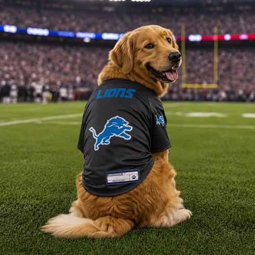NFL Detroit Lions Stretch Pet Jersey (Detroit Lions / Large)