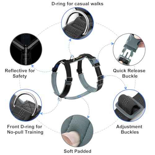 No Pull Dog Harness (M / Black)