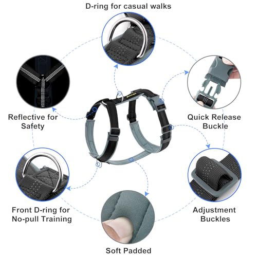 No Pull Dog Harness (S / Black)