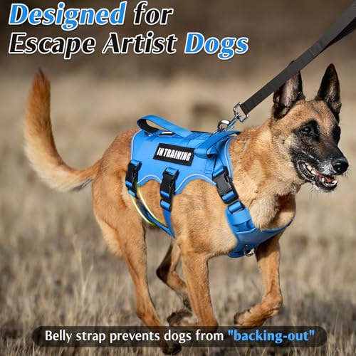 Escape Proof Dog Harness with Double Handle+4 Removable Patches (X-Large / Blue)