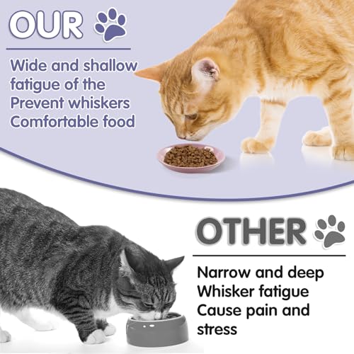 6 Pack Cat Food Bowl (CaiSe-A)
