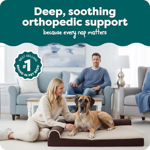 Orthopedic Dog Bed for Large Dogs (Jumbo Plus / Espresso)