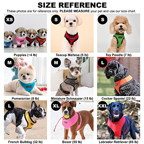 Soft Dog Harness No Choke Over (Royal Blue / X-Small)