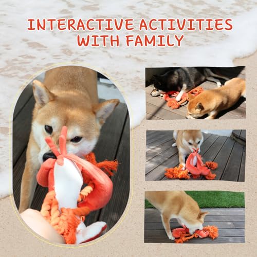Large Squeaky Dog Toys (Regular Lobster)