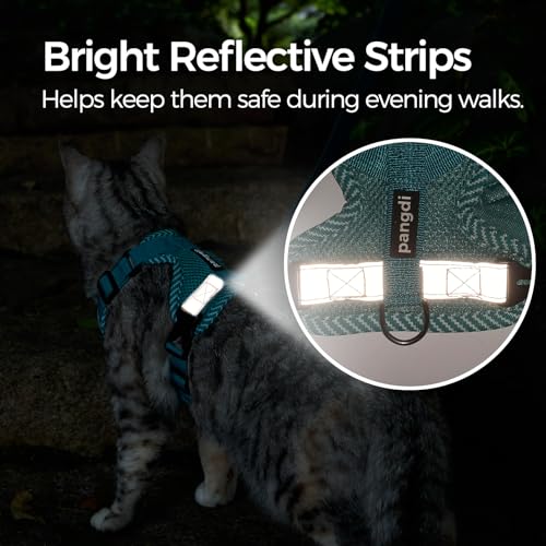 Cat Harness and Leash Set (Turquoise / Medium)