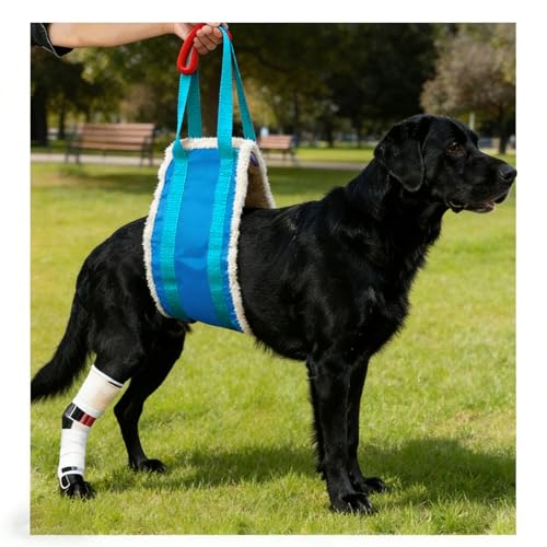20 150lb Dog Sling for Large Dogs Hind Leg Support (Blue)