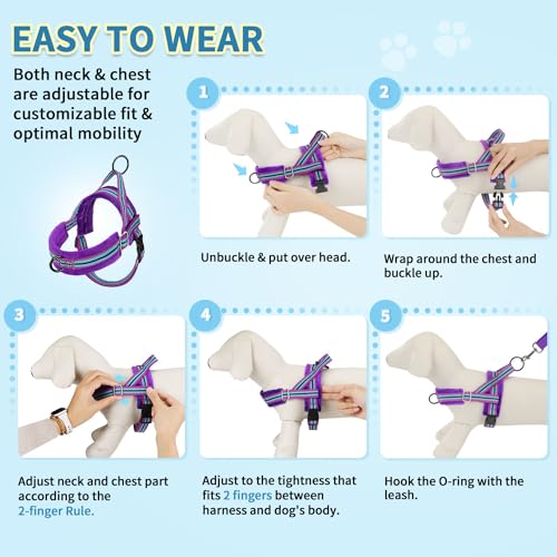 No Pull Small Dog Harness and Leash Set with Front Clip (Small / Purple)