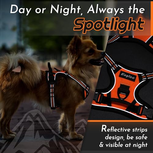 Dog Harness for Small Dogs (X-Small / Orange)