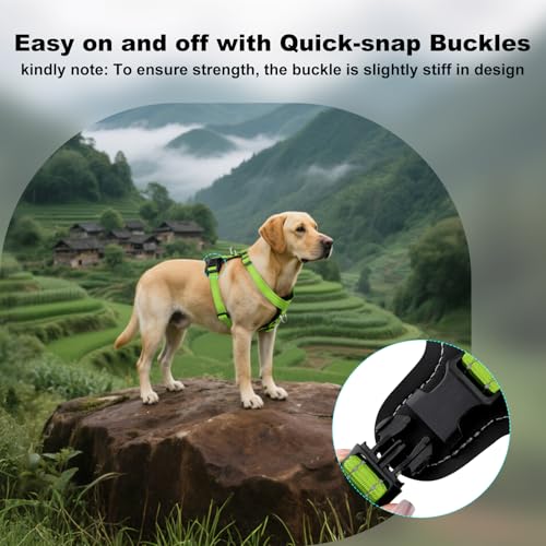 No Pull Dog Harness with Leather Accents (M / Green)