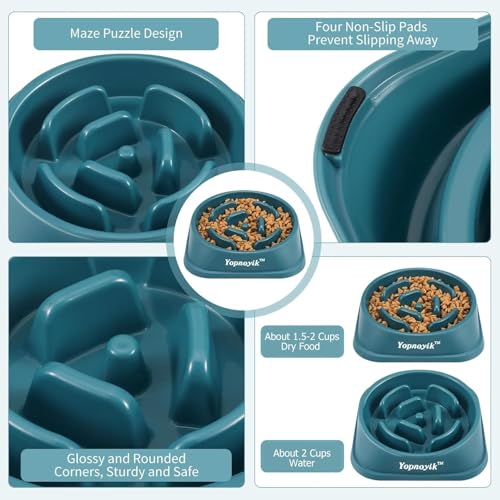 Slow Feeder Dog Bowls for Medium Dogs & Cats (Medium / Navy Blue)