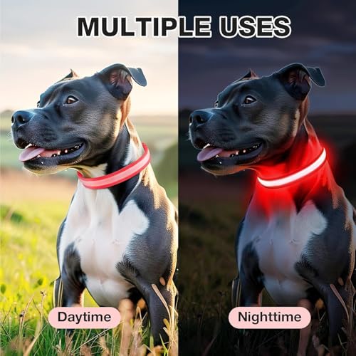 Light up Dog Collar (Red / L(19 inch-23.6 inch))