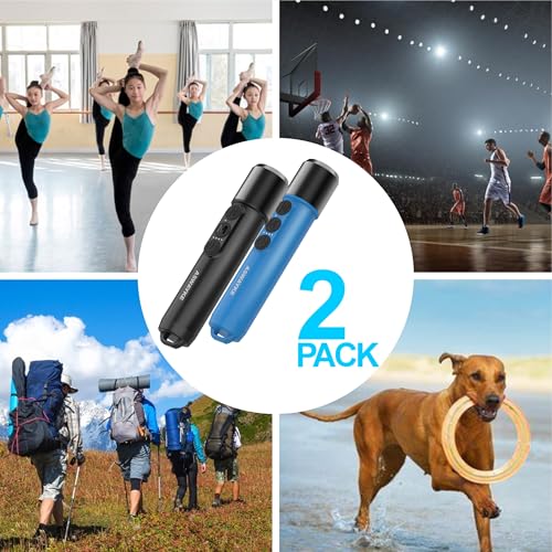 Electronic Whistle Set of 2 (Black)