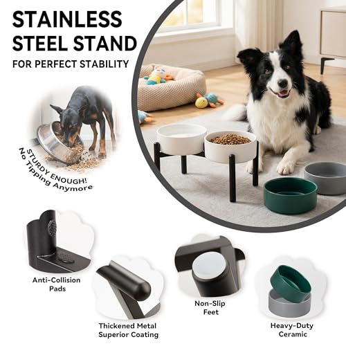 Raised Ceramic Dog Bowl Set with Stand (Green / 2 Bowls - 7.5 Cups Each)