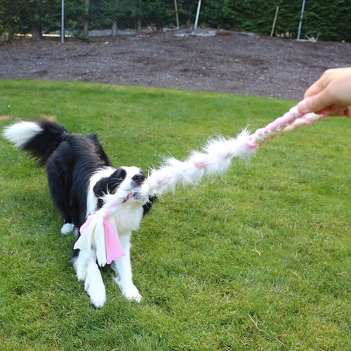 Braided Fleece Dog Tug Toy (Surprise Me!)