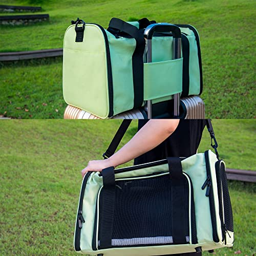 Soft Sided Carrier for Small Medium Cats Dogs (20.0"L x 13.0"W x 13.0"H / Green)