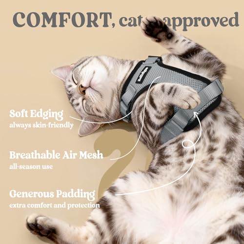 Cat Harness and Leash Set (M / Grey)