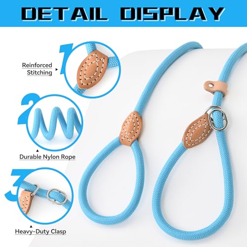 Heavy Duty Slip Lead No Pull Leash 6 (Blue / 4 Feet)
