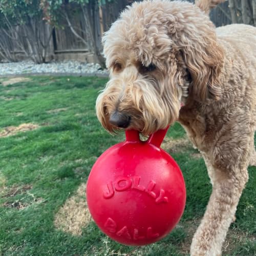 Tug-n-Toss Dog Toy Ball with Handle, 10" XL, Red (Red / XL (10 in))