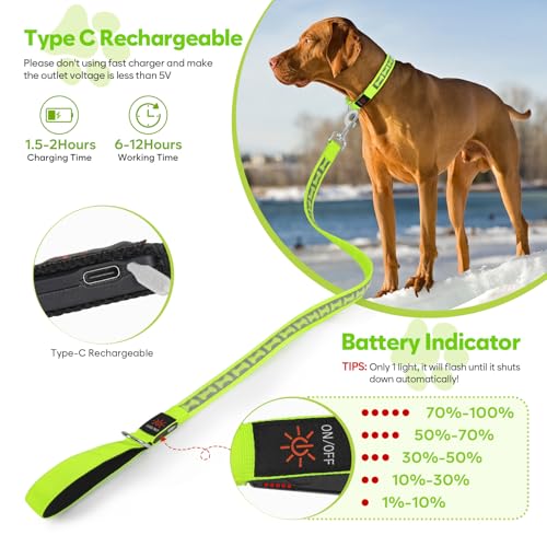Light Up Dog Leash (Green)