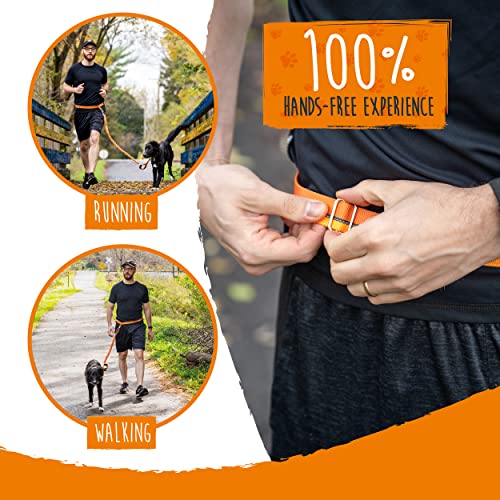 Hands Free Dog Leash (48" / Orange)