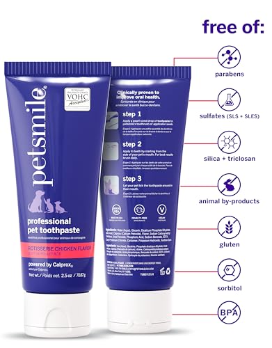 Teeth Brushing Kit (2.5 Ounce (Pack of 1))