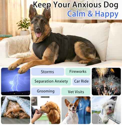 Breathable Dog Anxiety Vest (Black / Large (Chest: 29.1"/74cm))