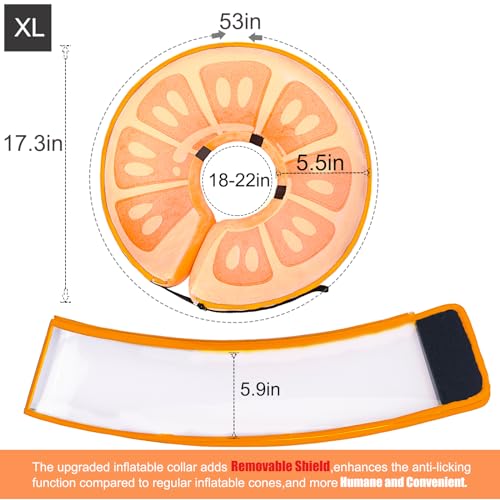 Inflatable Dog Cone Collar for Large Medium Small Dogs (Orange / X-Large)