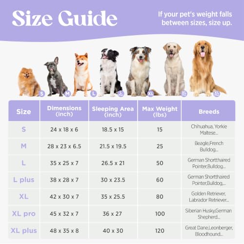 Cute Cozy High Back Orthopedic L Plus Dog Bed (38.0"l X 28.0"w X 7.0"th / Beige)