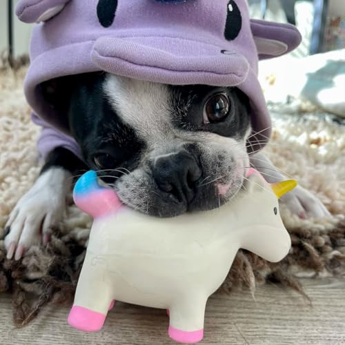 Puppy Chew Toys