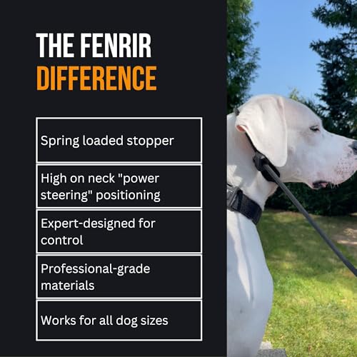 Slip Leash 1.4m Professional Dog Training Lead to Stop Pulling (Green)