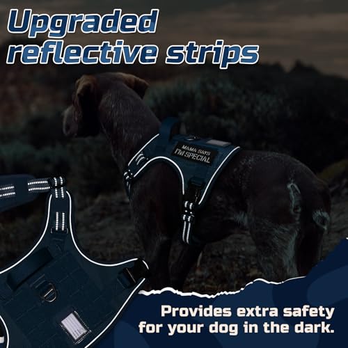 Tactical Dog Harness for Medium (Blue / Medium)