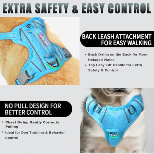Dog Harness for Small Sized Dog No Pull Dog Vest ID Tag Pocket (Blue / Small)