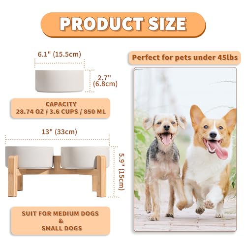 Elevated Ceramic Dog Bowl (Light Gray / Medium)
