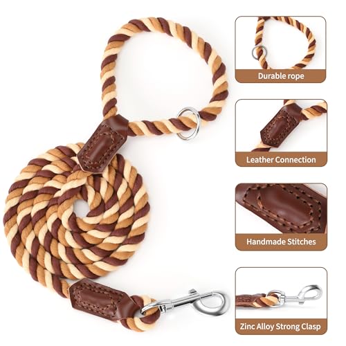 Rainbow Dog Leash Braided Cotton Rope w Leather (Brown Gradient / 72 Inch-1/2")