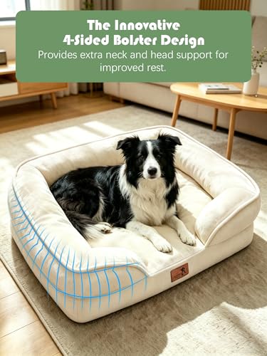 Orthopedic Dog Bed with Sides (35.0"L x 25.0"W x 6.5"Th / Ivory)