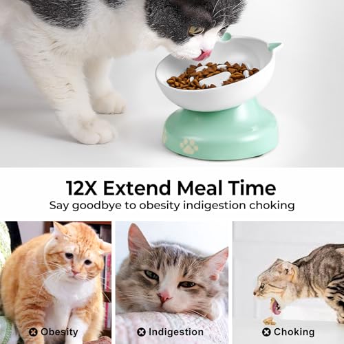 Slow Feeder Cat Bowl (Green)