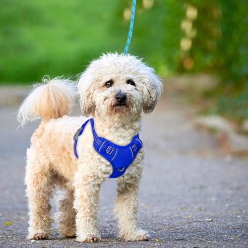 Dog Harness for Small Sized Dog No Pull Dog Vest ID Tag Pocket (Sapphire Blue / X-Small)