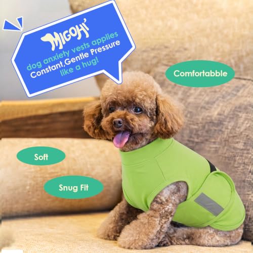 Dog Anxiety Relief Coat (LightGreen / X-Small)