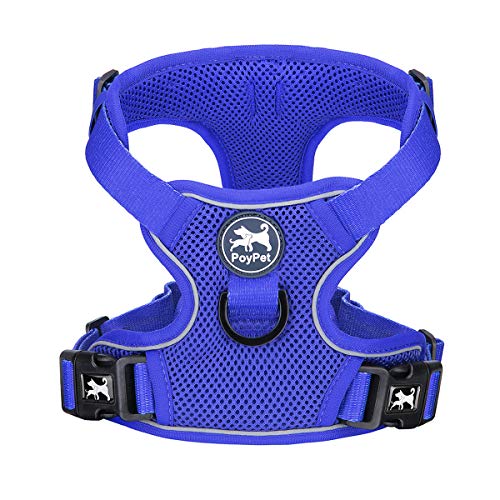 Mesh Dog Harness (L / Royal Blue)