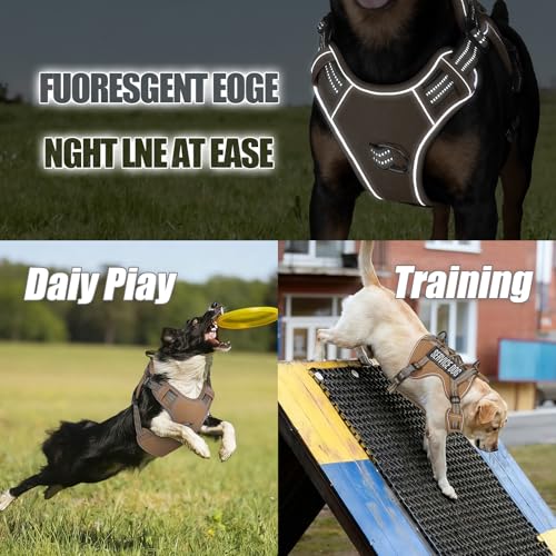 Dog Harness and Leash Set for Medium Dogs (Khaki / M)