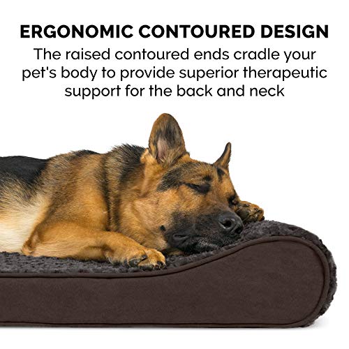 Orthopedic Dog Bed for Extra Large Dogs w (Giant/XXXL / Chocolate)