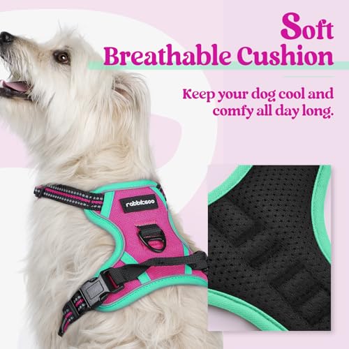 Dog Harness No Pull for Small Dogs with 2 Leash Clips (X-Small / Hot Pink & Turquoise)
