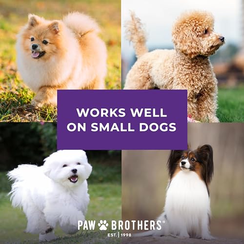 Paw Brothers Mini Pin Tiny Flat Slicker Brush for Dogs (Mini Soft Pin Slicker Brush)