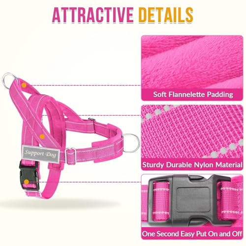 No Pull Dog Harness and Leash Set (Fuchsia / Small)