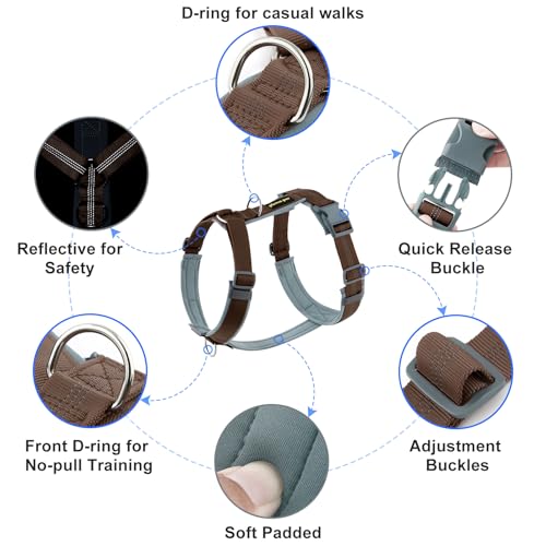 No Pull Dog Harness (M / Chocolate)