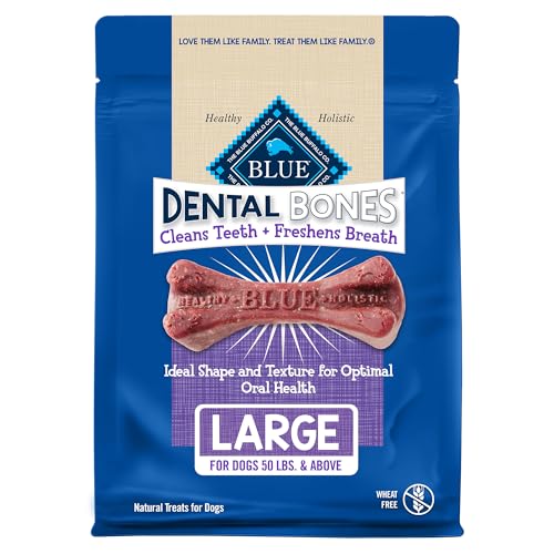 Large Dental Bones (27 Ounce (Pack of 1))