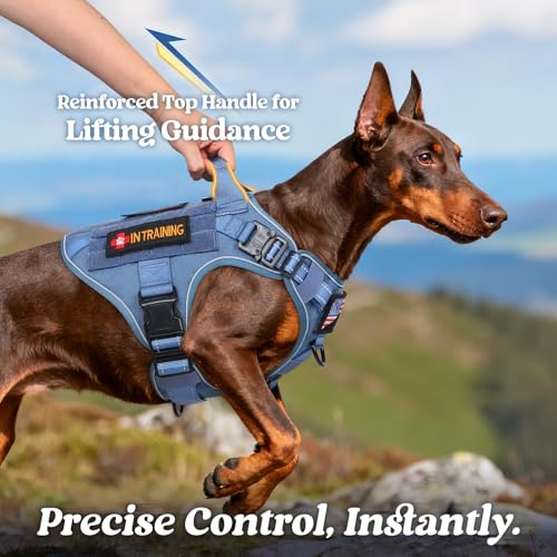 Tactical Dog Harness for Medium (Blue Reflex / Medium)