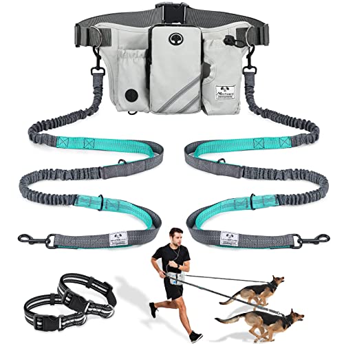 Retractable Hands Free Dog Leash with Dual Bungees for 2 Dogs (Gray)