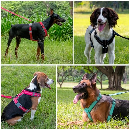 No Pull Dog Harness (XL / Gray)